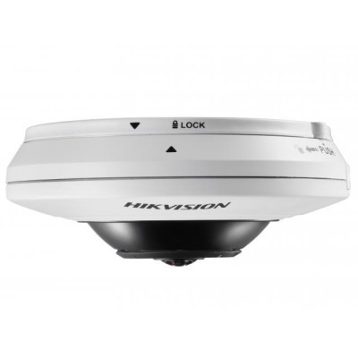 IP Видеокамера Hikvision DS-2CD2955FWD-I (1.05mm)